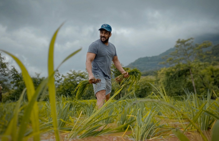 ސަލްމާން ޚާން ދަނޑުވެރިކަމުގައި