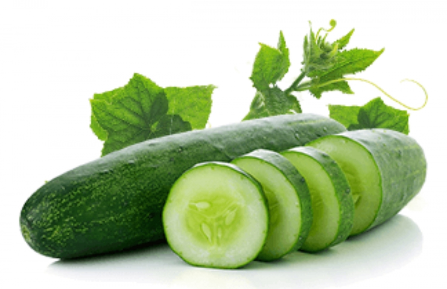 ކިއުކަމްބާ.