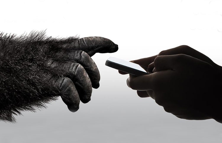 ގޮރިއްލާ ގްލާސްއަށް ނަންބަރުގެ ބަދަލުގައި ނަމެއް