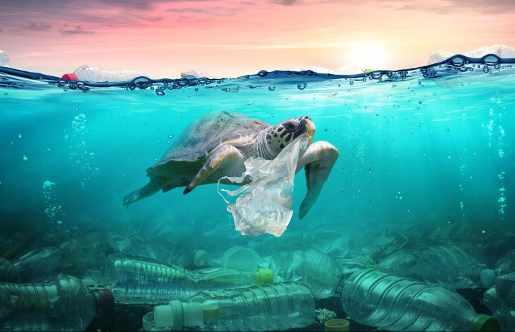 2040 އަށް 1.3 ބިލިއަން ޓަނުގެ ޕްލާސްޓިކް ކުނި