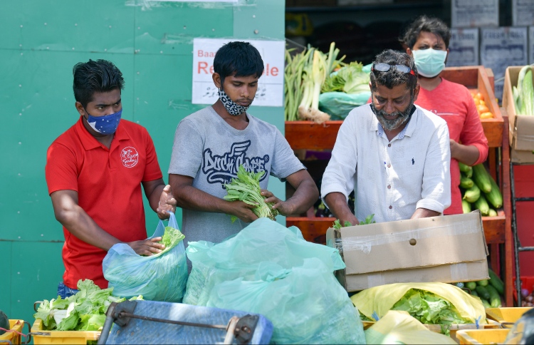 ރޭގަނޑު 10 އިން ފަތިހު 5 އަށް ކާފިއު ހިންގަނީ