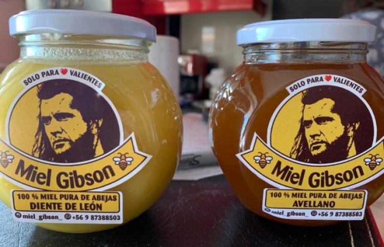 މާމުޔަކަށް "މީލް ގިބްސަން" ކިޔުމުން އިންޒާރު ދީފި