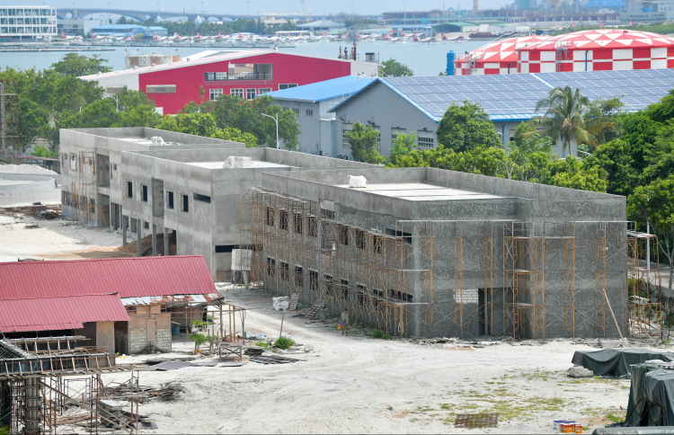 ވޯޓާ ތީމް ޕާކުގައި މަރުވެފައި އޮތް މީހަކު ފެނިއްޖެ