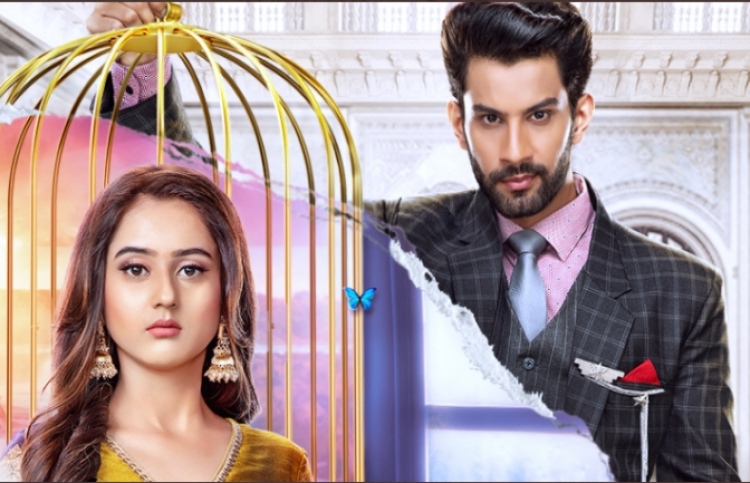 ކަލާޒްގެ އާ ސިލްސިލާ އަކީ "ޕިންޖާރާ"