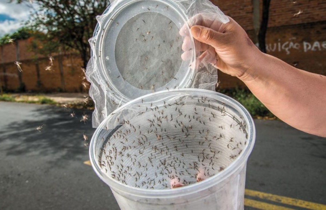 މަދިރިން ޖެހޭ ބަލިތަކާ ދެކޮޅަށް މޮޑިފައި މަދިރި