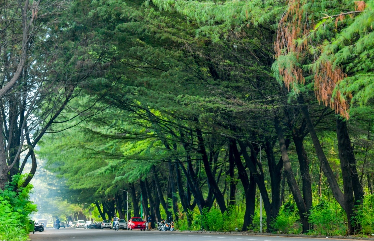 ހުޅުމާލެއިން އިތުރު ފިތުރޯނު ގަސްތައް ނަގަނީ