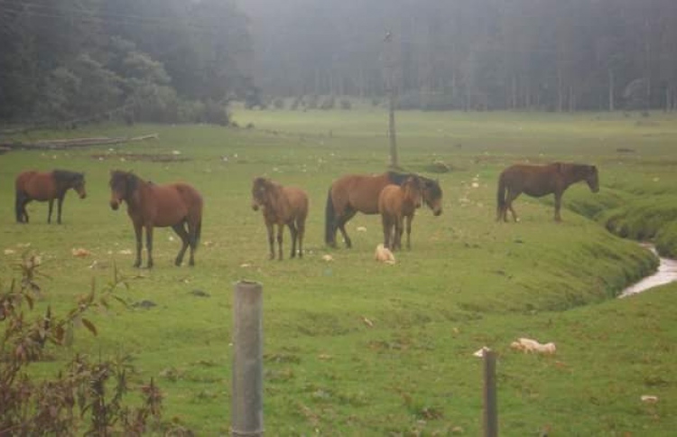 އައްޑު އަށް އަސްތަކެއް ގެންނަން އެބަ އުޅޭ: ނަޝީދު