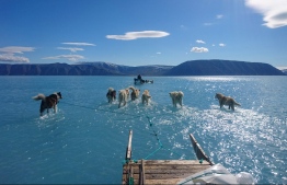 (FILES) This handout file photo taken on June 13, 2019 and photographed by Steffen Olsen of the Centre for Ocean and Ice at the Danish Meteoroligical Institute shows sled dogs wading through standing water on the sea ice during an expedition in North Western Greenland. - Researchers of the Univeristy of Copenhagen alerted on August 18, 2020 that the Arctic pack ice is melting faster than current scientific models predict. (Photo by Steffen Olsen / Centre for Ocean and Ice at the Danish Meteoroligical Institute / AFP) / RESTRICTED TO EDITORIAL USE - MANDATORY CREDIT "AFP PHOTO / Danish Meteorological Institute / Steffen Olsen" - NO MARKETING NO ADVERTISING CAMPAIGNS - DISTRIBUTED AS A SERVICE TO CLIENTS