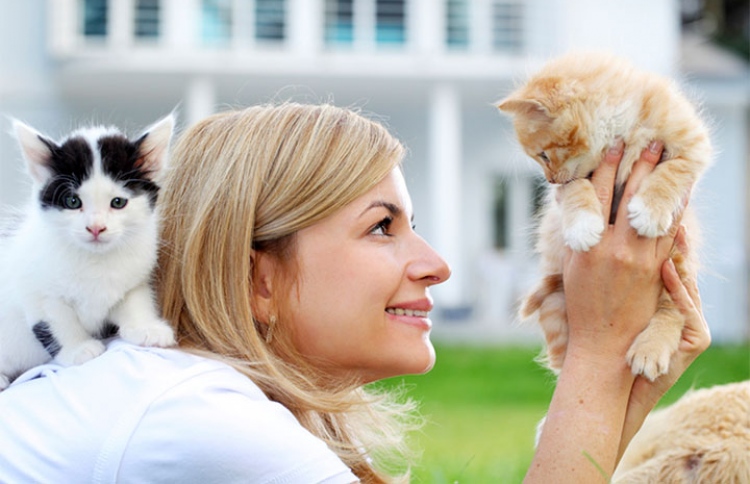 ޕެޓް ގެންގުޅުމުން ދުޅަހެޔޮކަމަށް މަގު ފަހިވޭ