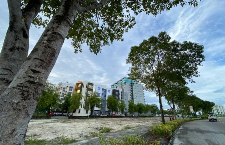 ކްރިކް ރިޒާގެ ބިމެއް 20 މިލިއަނަށް ވިއްކާލައިފި