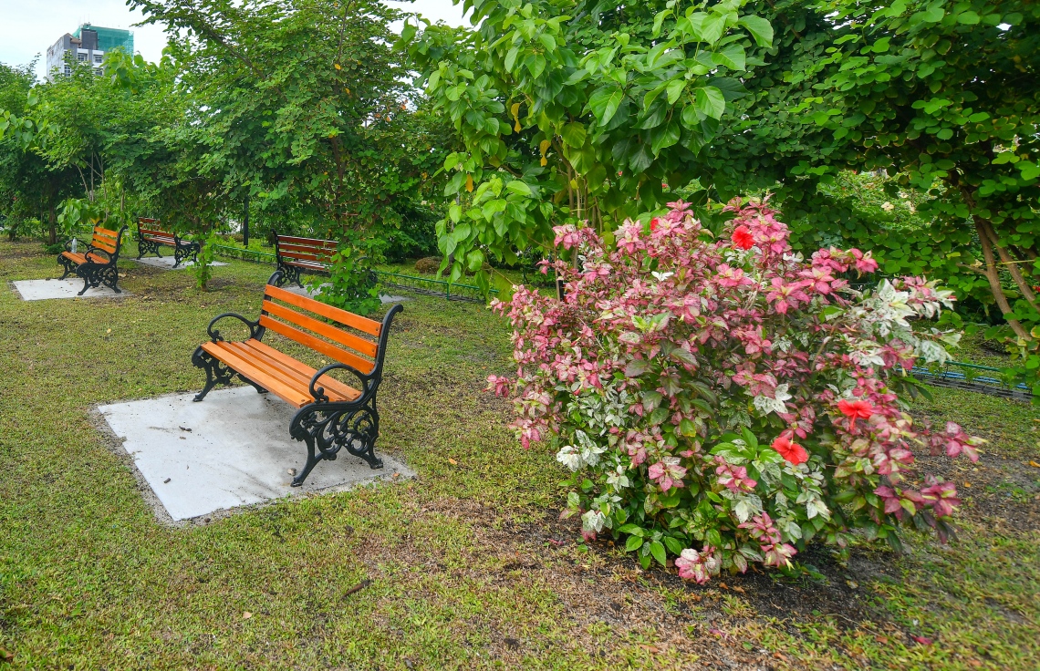 ޕާކްގައި ފެހިކަން ބޮޑުކުރަން މިހާތަނަށް ކޮށްފައިވަނީ ވަރަށް ބޮޑު މަސައްކަތެއް: މިތަން ހުޅުވުމާ އެކު މާލޭގެ ރައްޔިތުންނަށް ހިތްހަމަޖެހުމެއް ލިބޭނެ. ފޮޓޯ: ނިޝާން އަލީ/މިހާރު