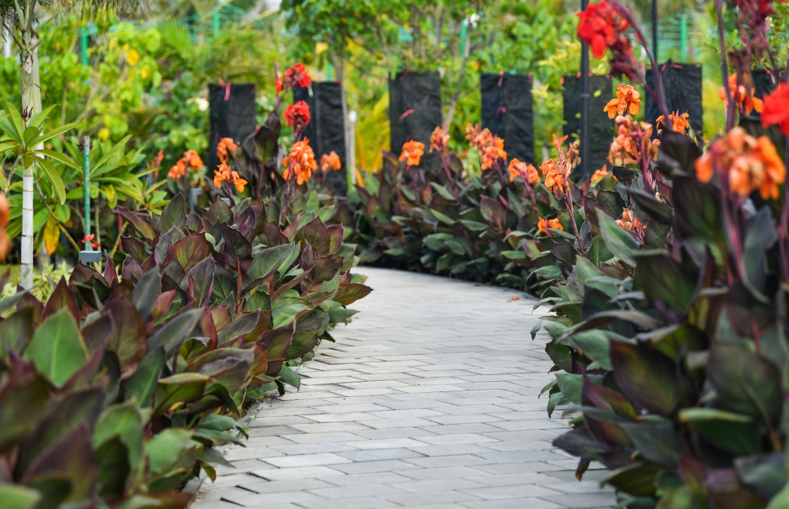 އަލަށް ތަނެއް ތަރައްގީކުރާ އިރު ފެންނަ މަންޒަރު އަބަދުވެސް ވަރަށް ރީތިވާނެ: ސުވާލަކީ ލޮނުޒިޔާރަތްކޮޅު ޕާކްގެ މިހާރު މި އޮތް ހިތްގައިމުކަން ކިހާ ދުވަހަކަށް ދެމިގެންދާނެތޯ --ފޮޓޯ: ނިޝާން އަލީ/މިހާރު