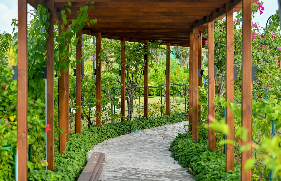 ވަށައިގެން ފެހިކަމާއި މޫދުގެ ނަލަކަން ފެންނަ ހިސާބެއްގައި ހިނގާލުމަކީ މީހަކަށް ލިބޭނެ ބޮޑު ހިތްހަމަޖެހުމަކަށް ވާނެ: ލޮނުޒިޔާރަތްކޮޅު ޕާކް ތަރައްގީކުރަނީ އެގޮތަށް ވިސްނައިގެން --ފޮޓޯ: ނިޝާން އަލީ/މިހާރު