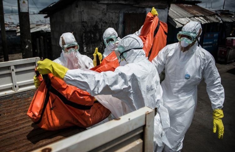 ބައެއް ވައިރަސްތައް ފަސޭހައިން ނެތިދަނީ ކީއްވެ؟