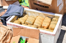 Illicit narcotic substances confiscated during a previous drug bust--