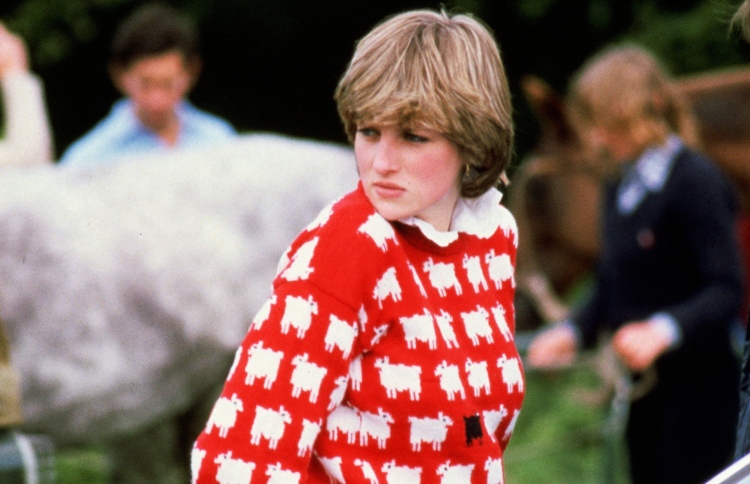 ޑަޔާނާގެ "ޝީޕް ޖަމްޕަރު" އަލުން ނެރެނީ