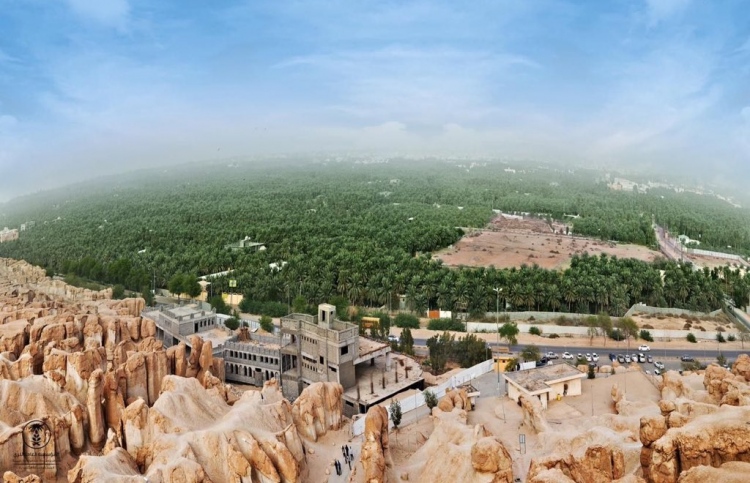 ސައުދީން 10 މިލިއަން ގަސް އިންދަނީ