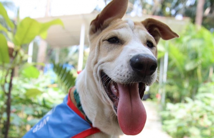 ނޯބެލް ސުލްހައިގެ އިނާމު ލިބުނު ކުއްތާ.