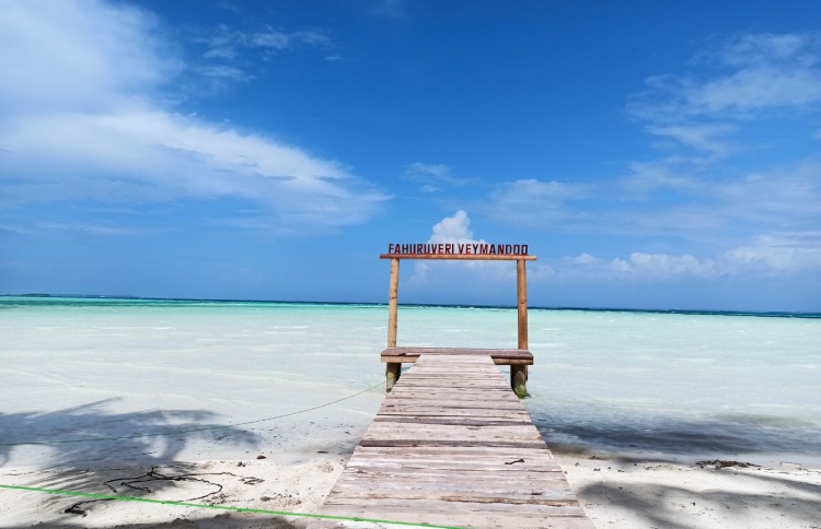 ވޭމަންޑޫ މޮނިޓރިން އަށް ލައިފި