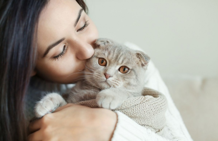 އެކަނިވެރިކަން ފިލުވައިދޭން ބުޅާ