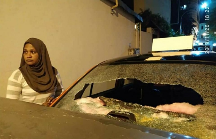 އަންހެން ޑްރައިވަރުގެ ކާރަށް ގެއްލުންދީގެން ދައުވާކޮށްފި