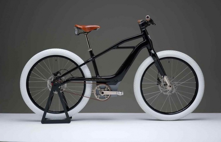 ހާލީ-ޑޭވިޑްސަނުން އިލެކްޓްރިކް ބައިސްކަލް ހަދަނީ