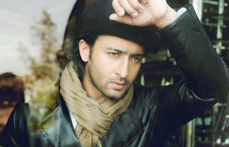 ޝަހީރާއި ޝިލްޕާގެ ވެބް ސީރީޒެއް