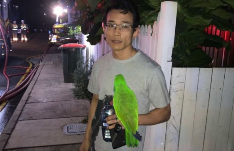 ފުރާނަ ސަލާމަތްވީ ގުރައަކާ ހެދި