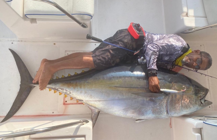 މެންބަރު ފިއްޓެ ބޭނި ބޮޑުކަންނެލި އިސްކޮޅަށް ވުރެ ދިގު