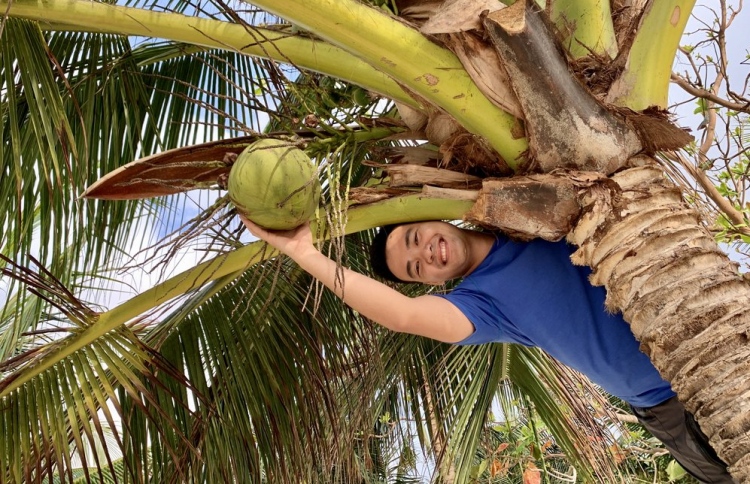 ޔުނިވާސިޓީއެއްގެ ފީ ކާށިން ދެއްކޭ ގޮތަށް ހަދައިފި