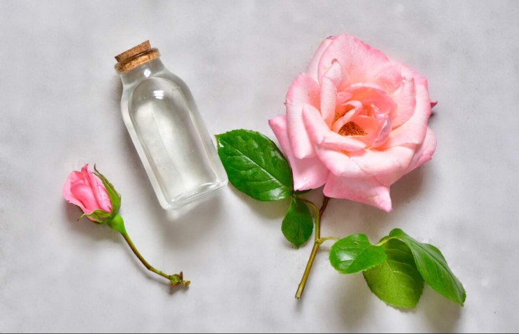 ފިނިފެން ފަރުވާއެއްގެ ގޮތުގައި