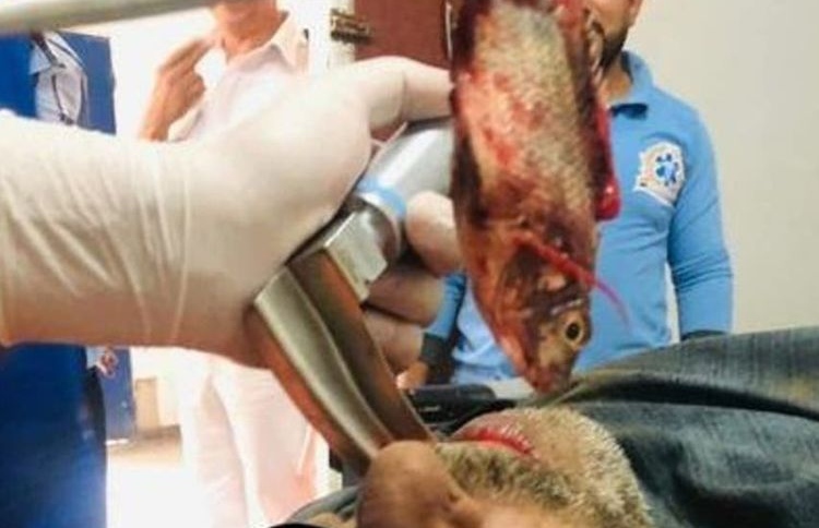 މީހެއްގެ ވައިނޮޅިން މަހެއް ނަގައިފި