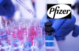 Pfizer announced early November that their COVID-19 vaccine candidate has performed extremely well in their clinical trials, a reassuring sign that the months of investment and breakneck work on vaccines to protect people against the virus was going to pay off. PHOTO: PFIZER