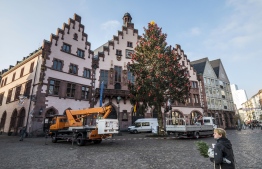 A woman looks at the traditional Christmas tree is being installed at Frankfurt's landmark Roemer Place on November 25, 2020 in Frankfurt am Main, amid the new coronavirus COVID-19 pandemic. - Usually a Christmas market is installed on this central place, but has been cancelled due to the spread of the Coronavirus. (Photo by Thomas Lohnes / AFP)