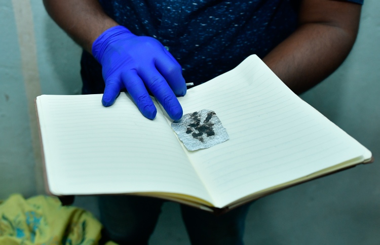 65 ޕަސެންޓަކީ ޑްރަގްސްއާ ގުޅޭ މައްސަލަ: ޕީޖީ