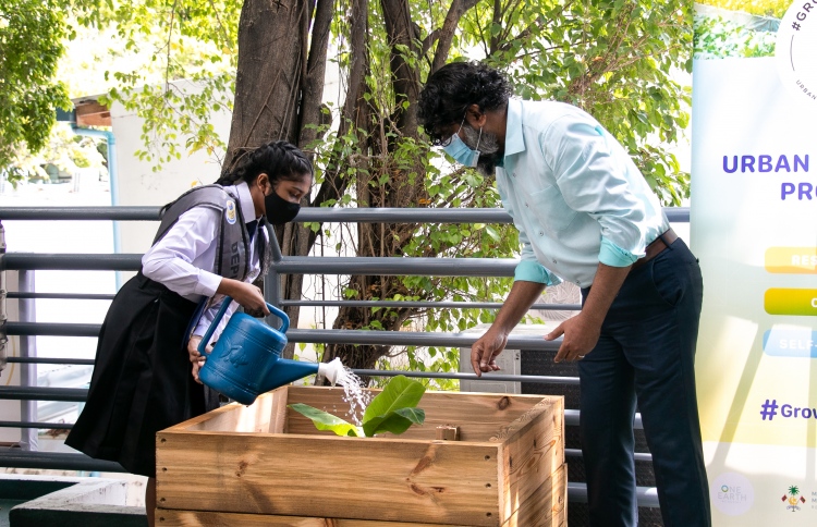 އާބަން ގާޑެނިން ޕްރޮގްރާމް އައިލެންޑާސް އިން ފަށައިފި