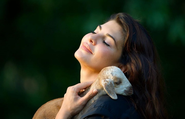 ބޮލީވުޑްގެ ޚަބަރުތައް ކުރުކޮށް