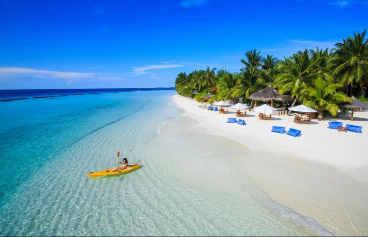 ކުރުނބާ އަށް ހާއްސަ އެވޯޑްތަކެއް ލިބިއްޖެ