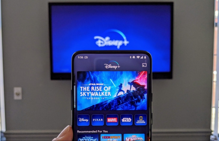 ޑިޒްނީ ޕްލަސްގެ އަގުތައް ބޮޑުކުރަނީ