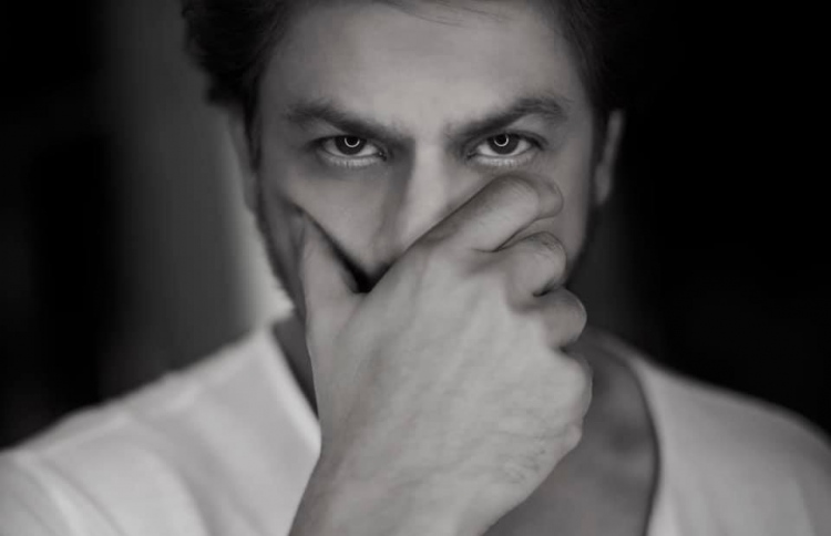 މި އަހަރު ފިލްމަކުން ފެންނާނެ ކަމަށް ޝާހްރުކް ބުނެފި