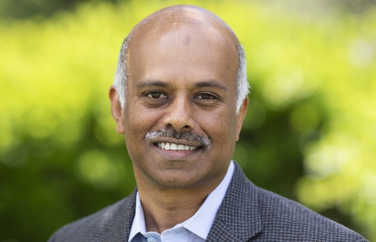 ކޮވިޑްގައި ކުއްލިއަކަށް އާންމުވި ޒޫމް ފުޅާކުރަނީ