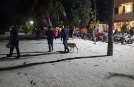 Police scour Hulhumale's beach area in search of persons committing crimes related to the use of illicit substances. PHOTO: MIHAARU