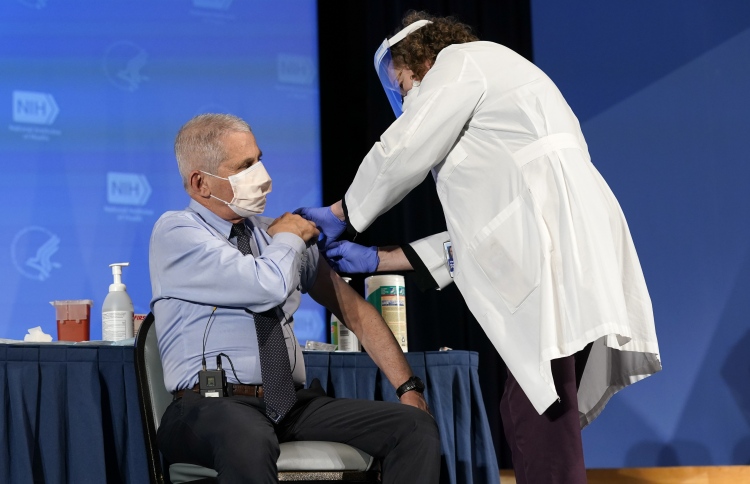 ނަމޫނާ ދައްކަވައި، ފައުޗީ ވެކްސިން ޖައްސަވައިފި