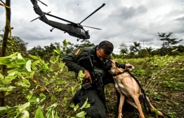 A Colombian police officer hugs a dog during an operation to eradicate illicit crops in Tumaco, Narino Department, Colombia on December 30, 2020. - The Colombian government said on Wednesday that for the second consecutive year it had broken a record for the eradication of coca plants, the raw material for cocaine, of which the country remains the world's leading producer. (Photo by Juan BARRETO / AFP)
