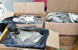 Customs seized an illegal shipment of shark fins, declared as salted fish at VIA, on January 3, 2021. PHOTO/CUSTOMS