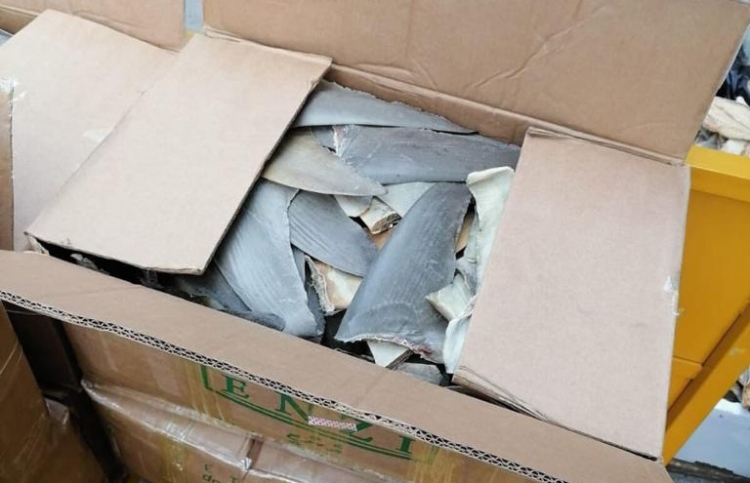 މިޔަރު އުރަހަ ބޭރުކުރި ބަޔަކު ހާމަކުރާނީ ތަހުގީގަށްފަހު