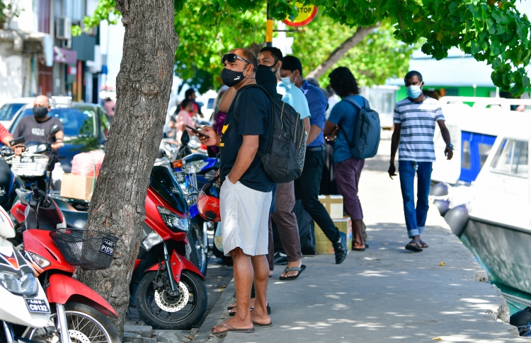 ނިސްބަތުން ގިނައީ ވަޒީފާ ނެތް ފިރިހެނުން