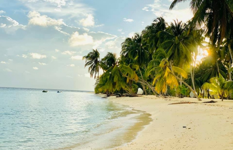 ދެއްވަދޫން އިތުރު 17 މީހަކު ޕޮޒިޓިވްވެއްޖެ