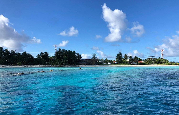 ދެއްވަދޫ ކްލަސްޓާގައި ހައިރިސްކުމީހުން ވަރަށް ގިނަ