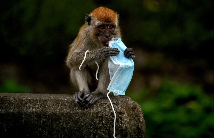 ރާމާމަކުނުގެ ވައިރަހުގައި ޗައިނާއިން މީހަކު މަރުވެއްޖެ